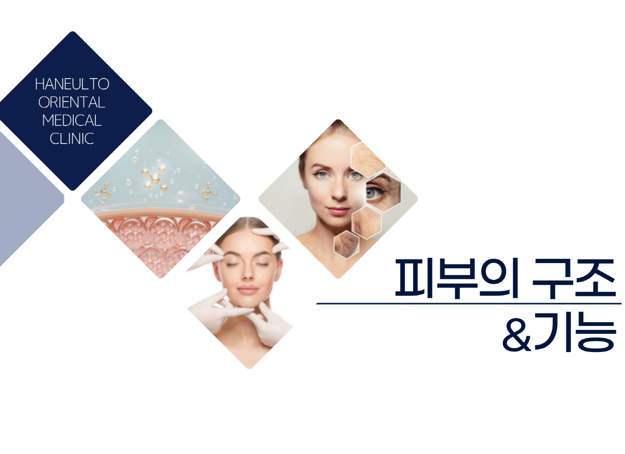 치료후관리